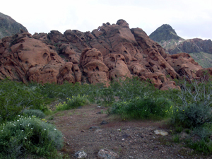 Red rock formations